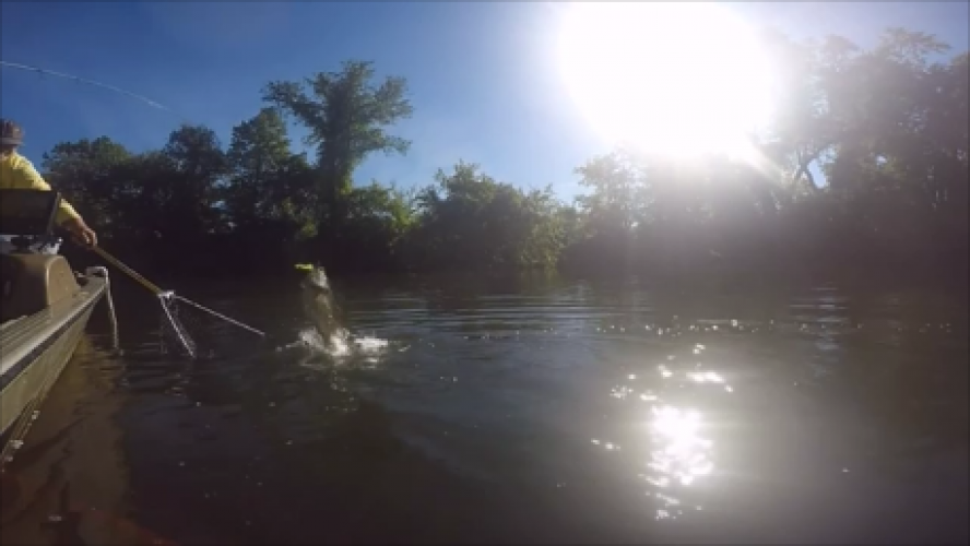 Braggin' Board Photo: Smallmouth Hitting the bait