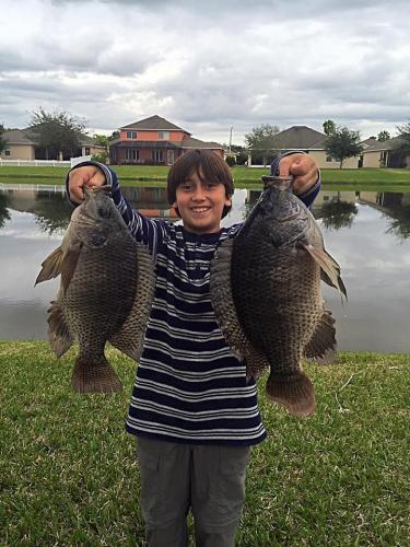 Braggin' Board Photo: Tilapia