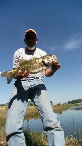 Braggin' Board Photo: Great day for Bass