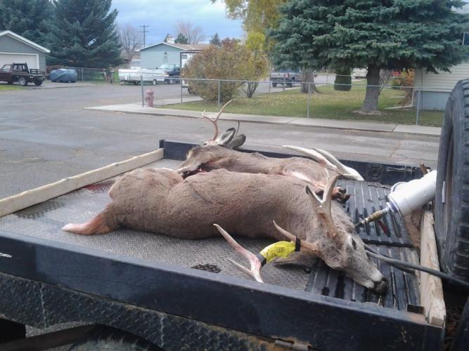 Braggin' Board Photo: 2 Bucks