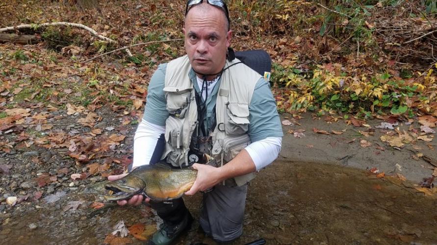 Braggin' Board Photo: Spawning Male Brook