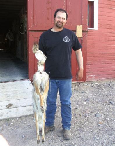 Braggin' Board Photo: Coyote