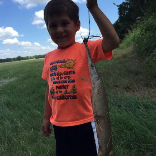 Braggin' Board Photo: Alligator gar