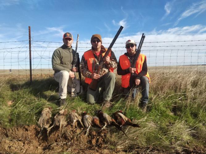 Braggin' Board Photo: Pheasant  Hunt
