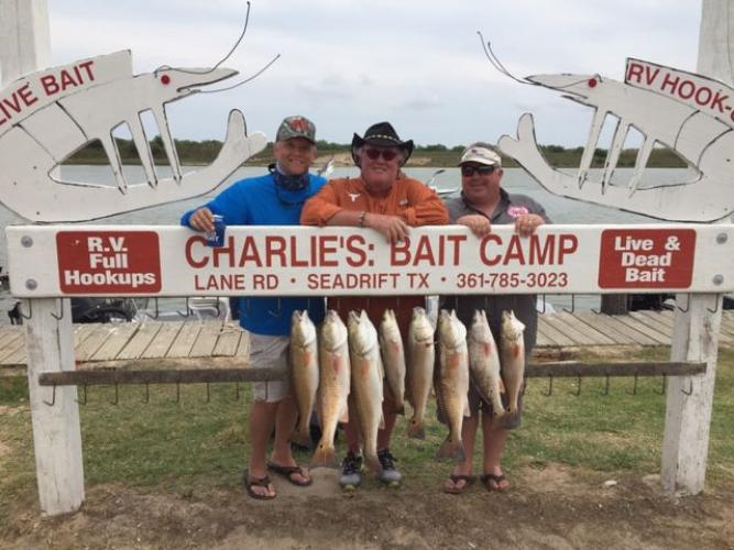 Braggin' Board Photo: Lots of Red Drum Caught