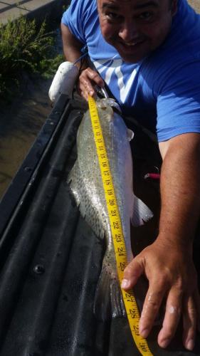 Braggin' Board Photo: friend....28in...8lb