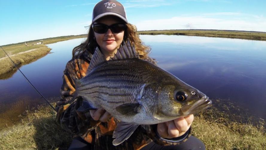 Braggin' Board Photo: Nice Striper Bass
