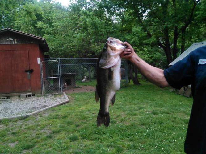 Braggin' Board Photo: Good day to catch bass