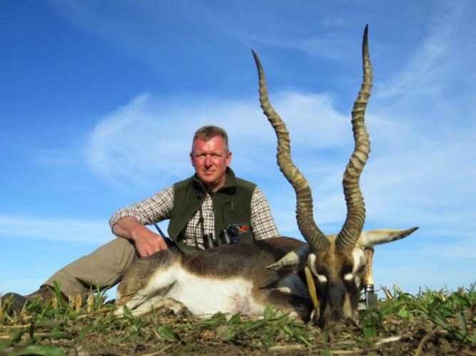Braggin' Board Photo: Blackbuck Antilope