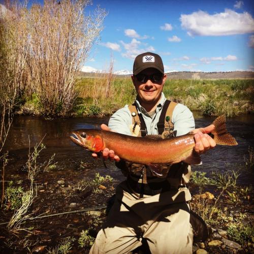 Braggin' Board Photo: Now that's a trout!