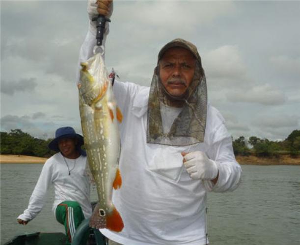 Braggin' Board Photo: Peacock Bass