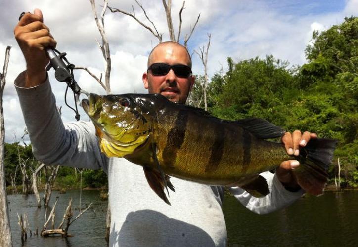 Braggin' Board Photo: 12-pound Peacock Bass