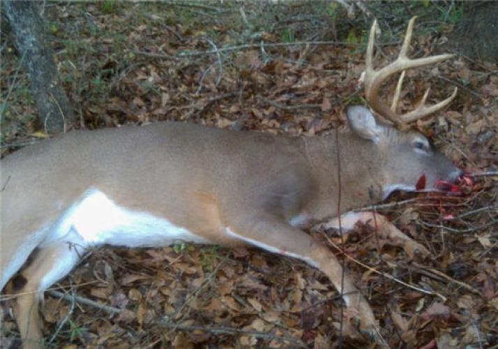 Braggin' Board Photo: Stinking Buck