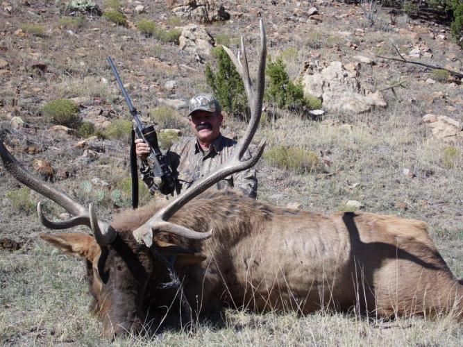 Braggin' Board Photo: 388-inch New Mexico Bull
