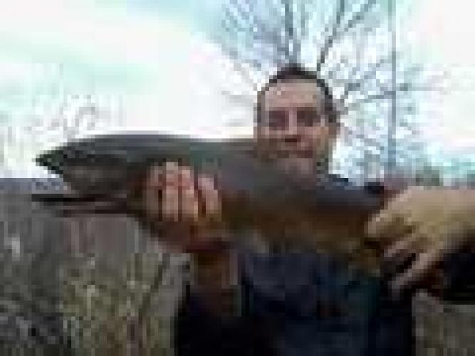 Braggin' Board Photo: Topwater Brown Trout