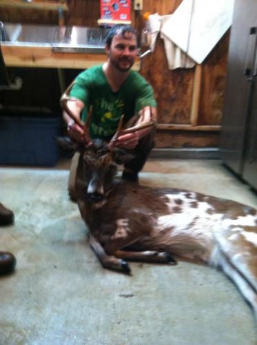 Braggin' Board Photo: Piebald 8 pt Blount County, Alabama