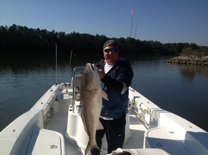 Braggin' Board Photo: Gulf Shores Bull Redfish