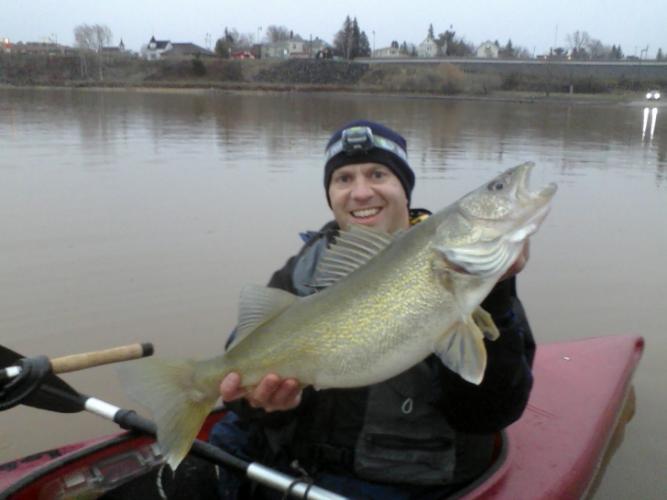 Braggin' Board Photo: 2013 Spring Pre Spawn Walleye From Lake Superior