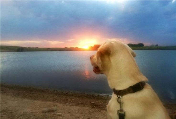 Braggin' Board Photo: Enjoying a Kansas Sunset