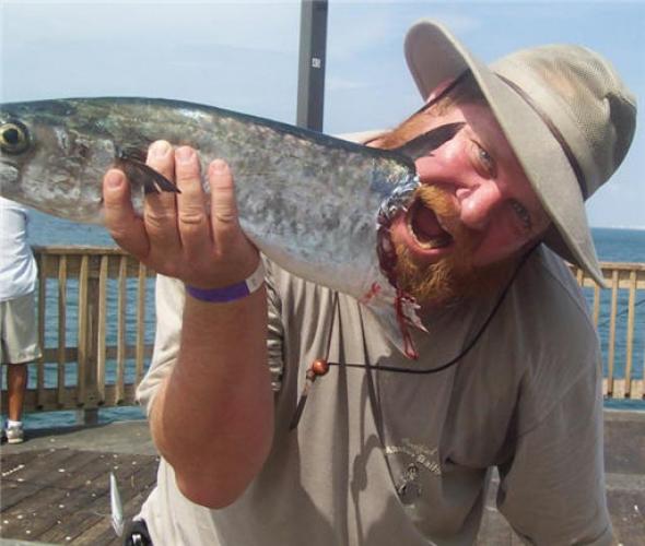 Braggin' Board Photo: Sharked King Mackerel