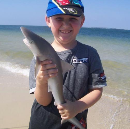 Braggin' Board Photo: Atlantic Sharpnose Shark