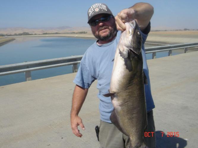 Braggin' Board Photo: monster catfish