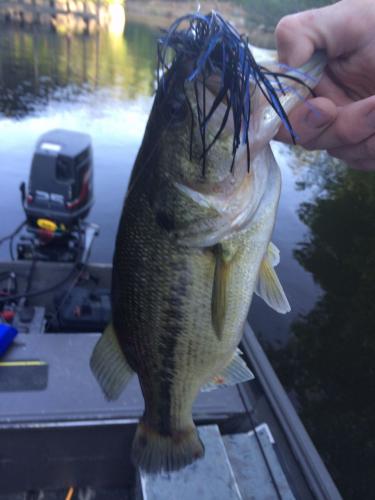 Braggin' Board Photo: Bass fishing in Arkansas