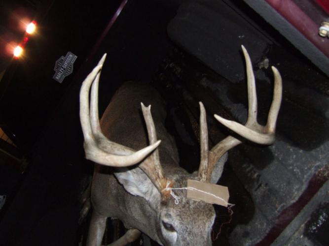 Braggin' Board Photo: 2010 Buck