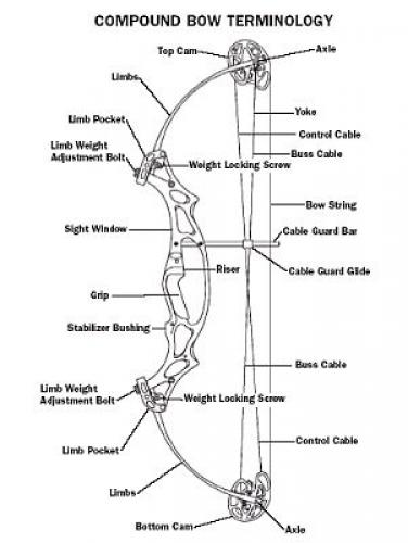 Braggin' Board Photo: Compound Bow Terminology Picture 004