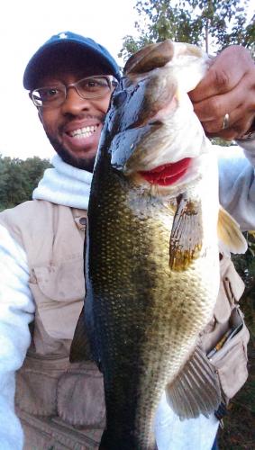 Braggin' Board Photo: Next day Bass  (July 25 2014) same spot