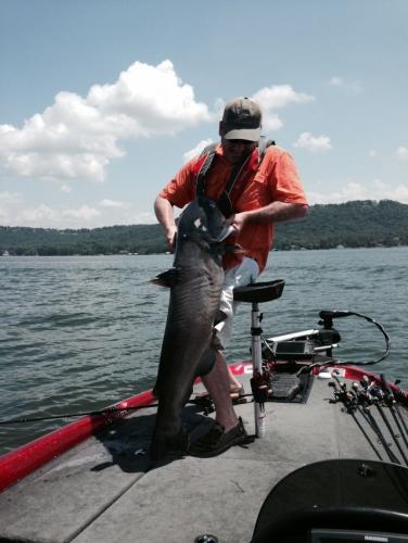 Braggin' Board Photo: Blue Cat