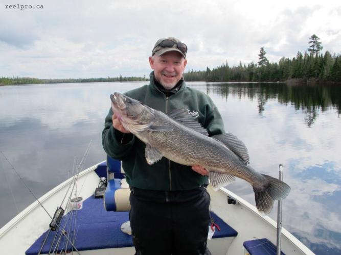 Braggin' Board Photo: Trophy Blue Walleye