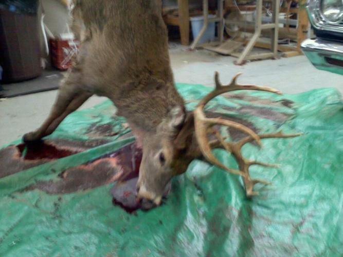 Braggin' Board Photo: 2012 - 14 Point Monster - Grandpas Buck