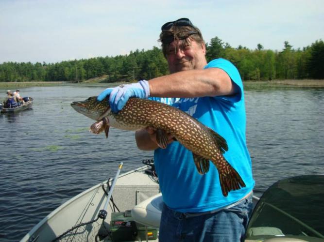 Braggin' Board Photo: Pike