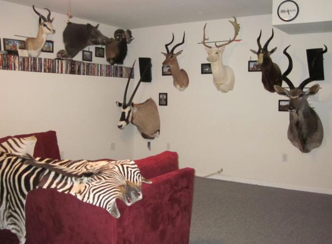Braggin' Board Photo: The Trophy Room