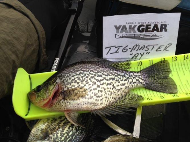 Braggin' Board Photo: Crappie 2  3