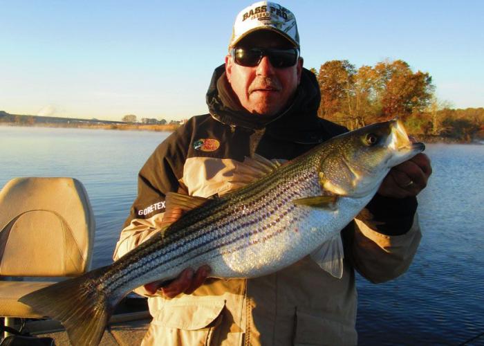 Braggin' Board Photo: Striper Bass in Connecticut