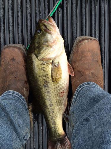 Braggin' Board Photo: Terrell, Texas Bass