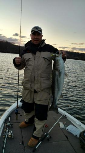 Braggin' Board Photo: Connecticut Striper Bass