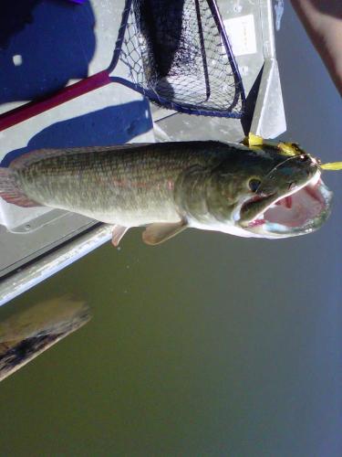 Braggin' Board Photo: Fishing 133