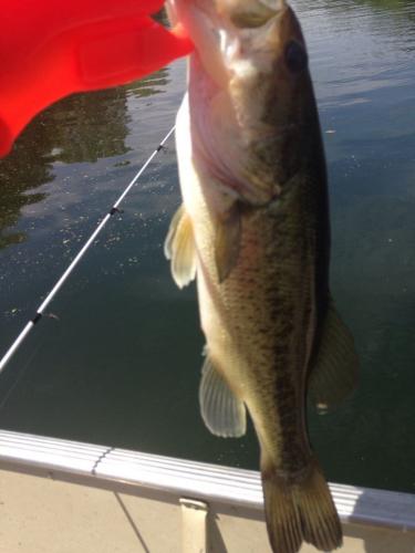Braggin' Board Photo: Good day fishing