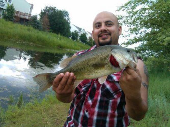 Braggin' Board Photo: Bass huawei phone 114