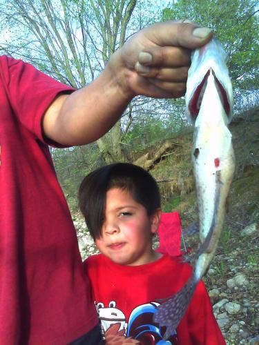Braggin' Board Photo: Crappie