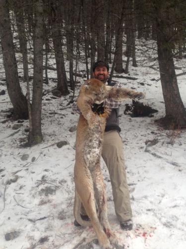 Braggin' Board Photo: Big Predator Lion