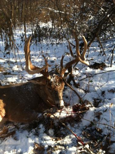Braggin' Board Photo: 2014 Buck