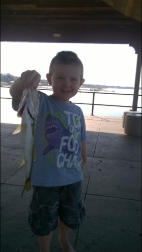 Braggin' Board Photo: Nice Fish