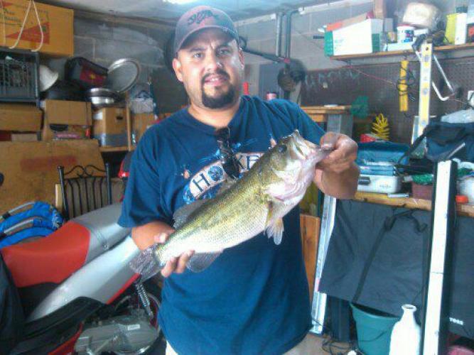 Braggin' Board Photo: Bass huawei phone 131