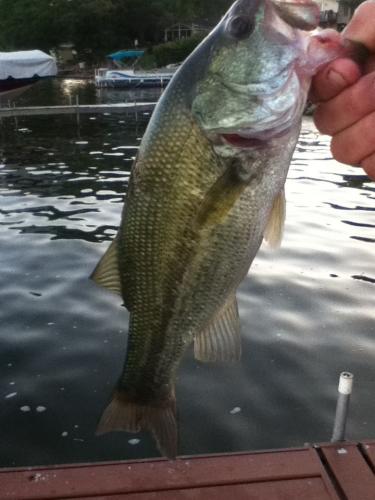 Braggin' Board Photo: Bass