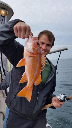 Braggin' Board Photo: Canary Rockfish