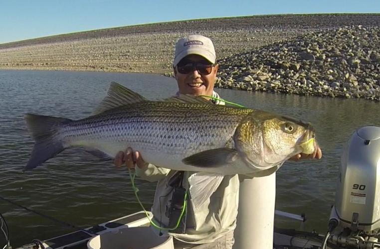 Braggin' Board Photo: San Luis Reservoir  Nov 7, 2015